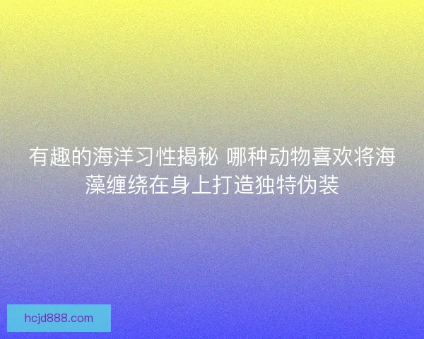 有趣的海洋习性揭秘 哪种动物喜欢将海藻缠绕在身上打造独特伪装