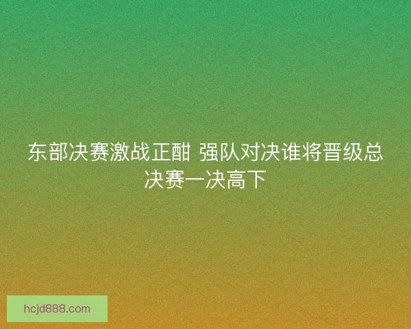 东部决赛激战正酣 强队对决谁将晋级总决赛一决高下