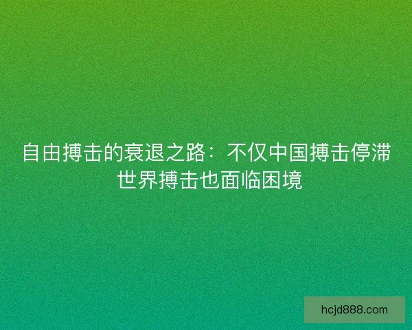 自由搏击的衰退之路:不仅中国搏击停滞 世界搏击也面临困境 自由搏击的衰退之路:不仅中国搏击停滞 世界搏击也面临困境